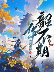 韶华不语